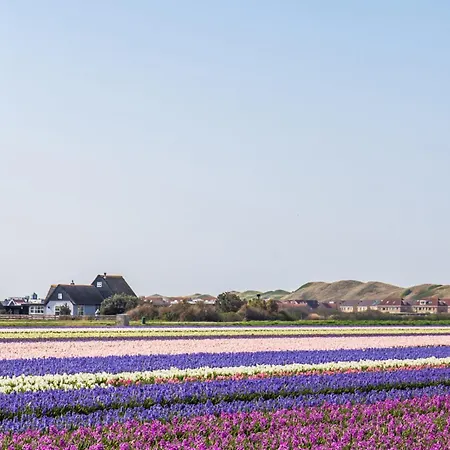 Zeekraal In Groote Keeten Σαλέ
