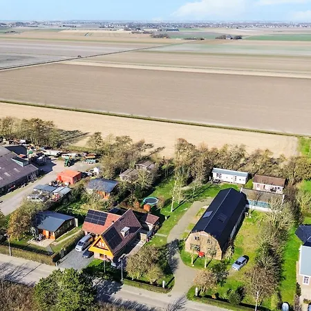 Zeekraal In Groote Keeten Callantsoog