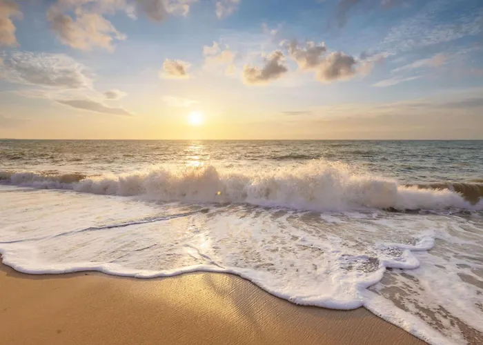 Chalet Zeekraal In Groote Keeten Callantsoog